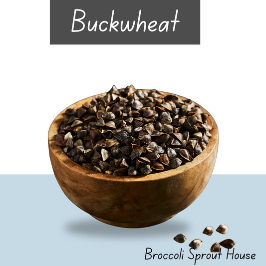 Buckwheat - Unhulled