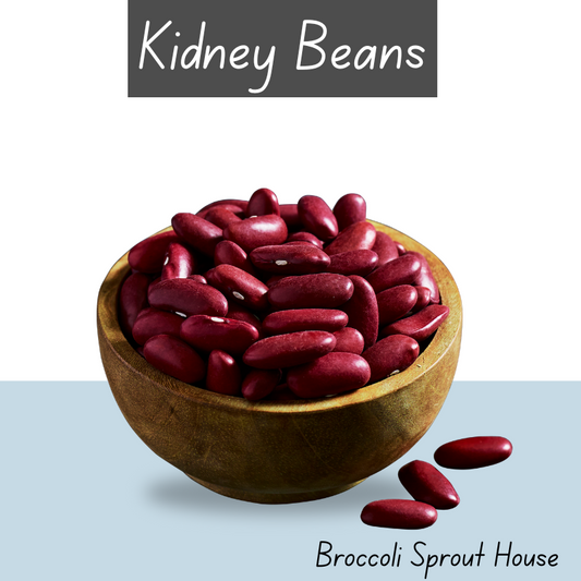 Kidney Bean Seeds