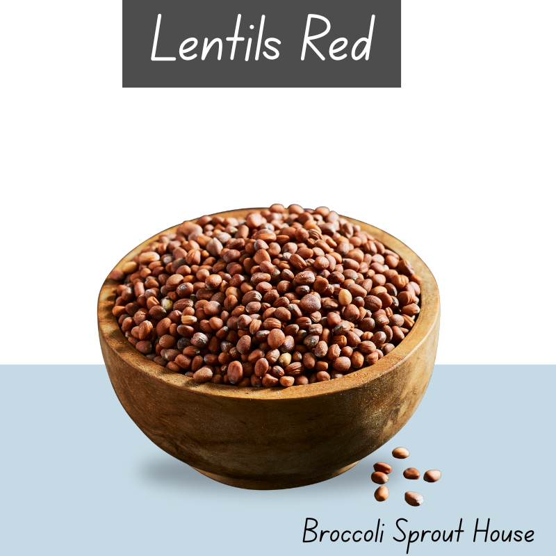 Lentil Red Seeds