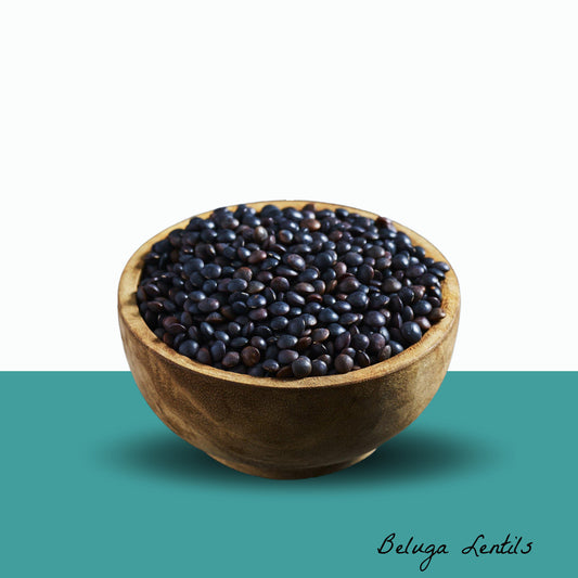 Beluga Black Lentils - Sprout Seeds