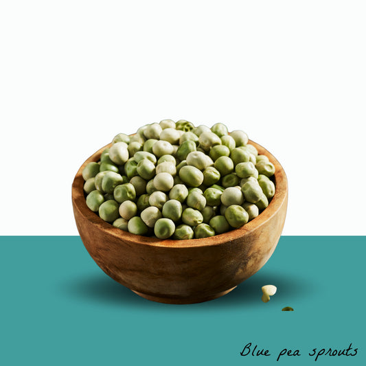 Blue Peas For Growing Sprouts