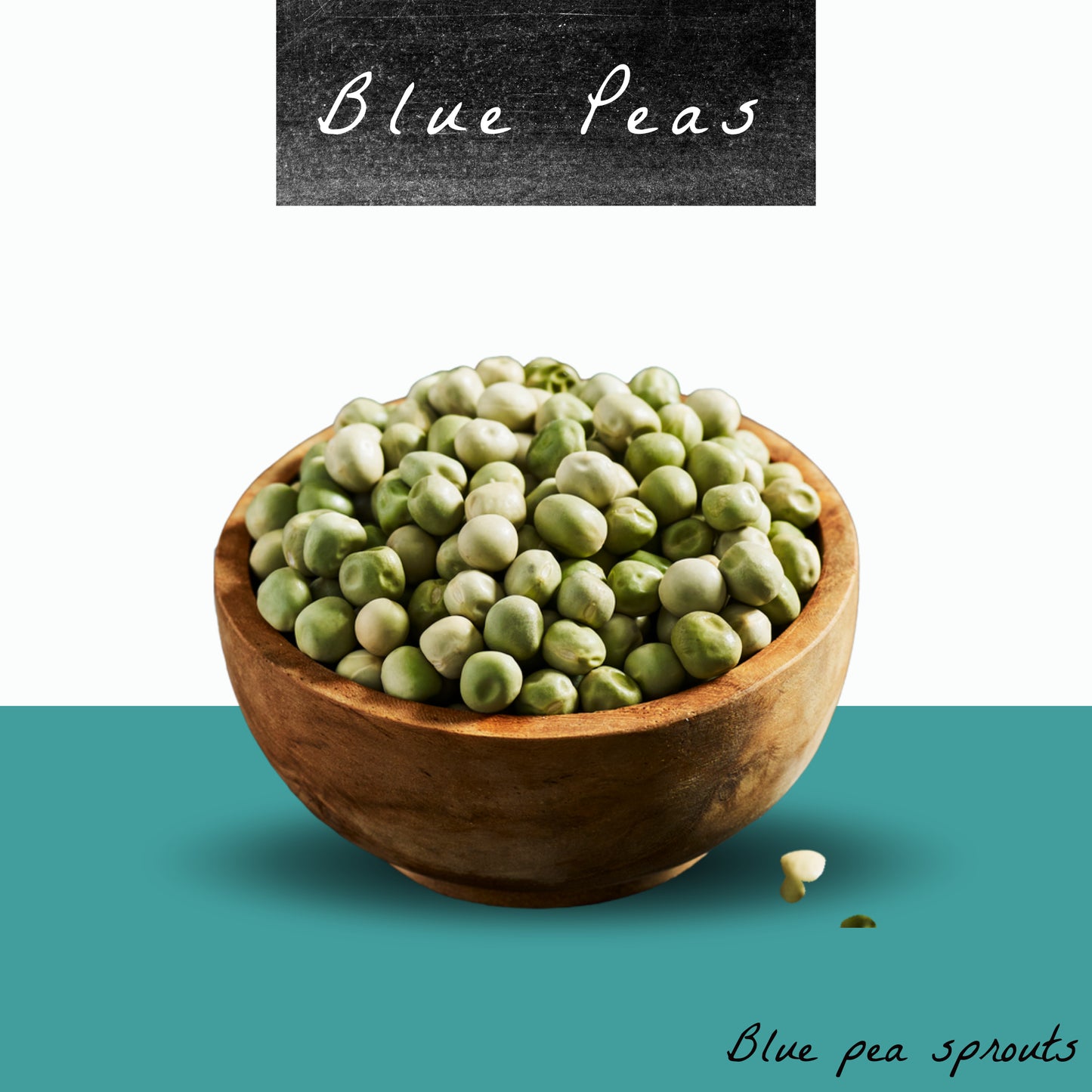 Blue Pea Seeds