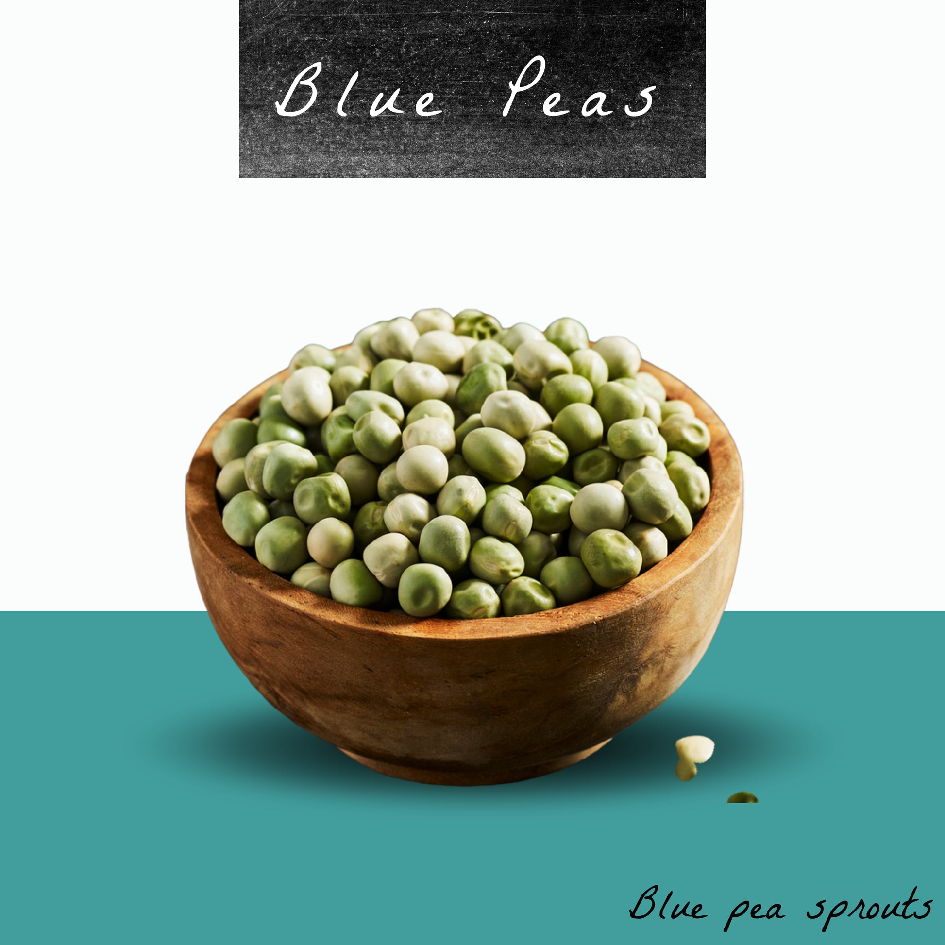 Blue Pea Seeds