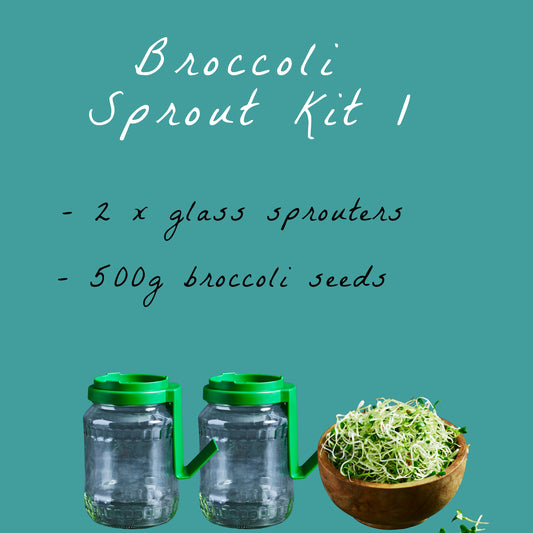 Broccoli Sprout House Kit 1