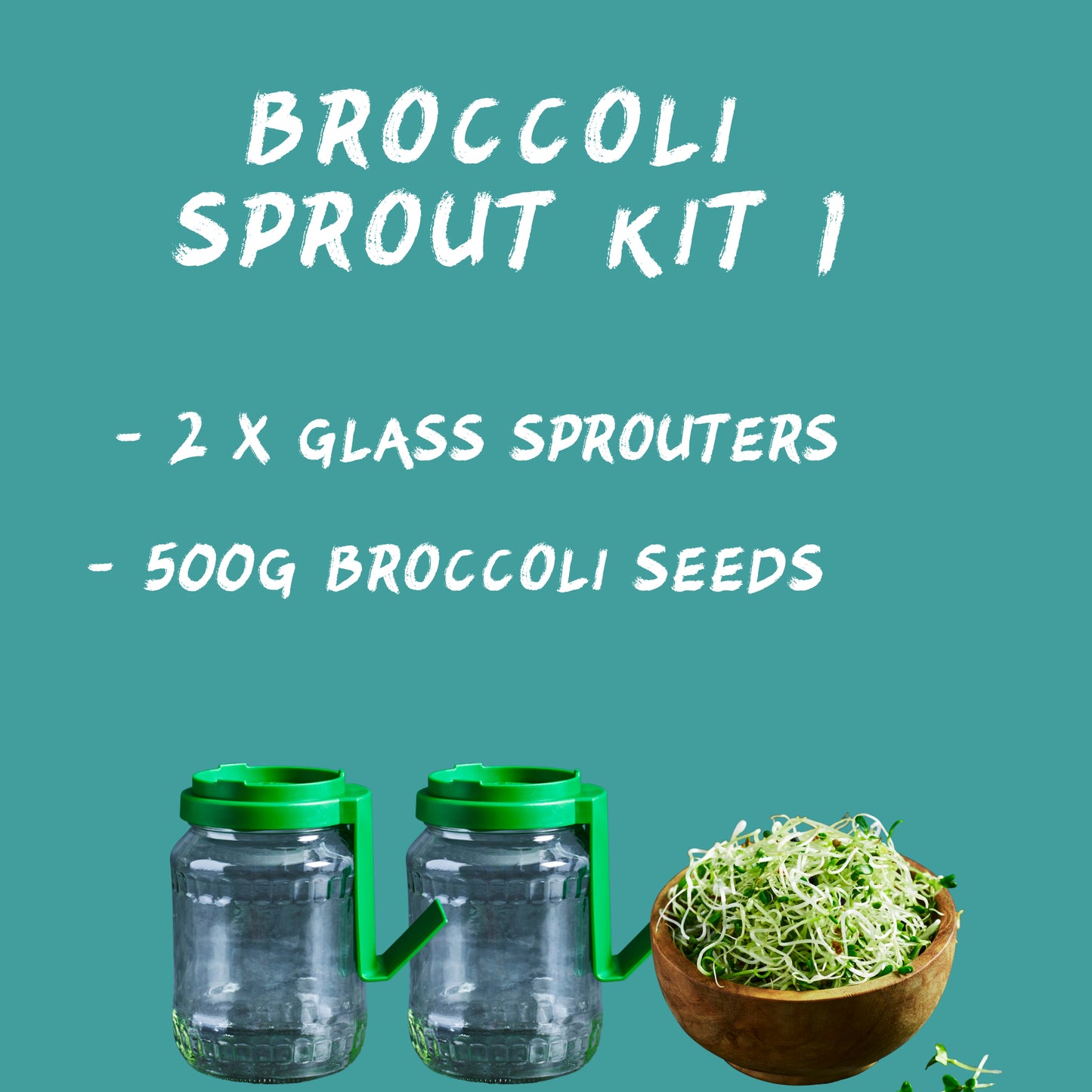 Broccoli Sprout House Kit 1