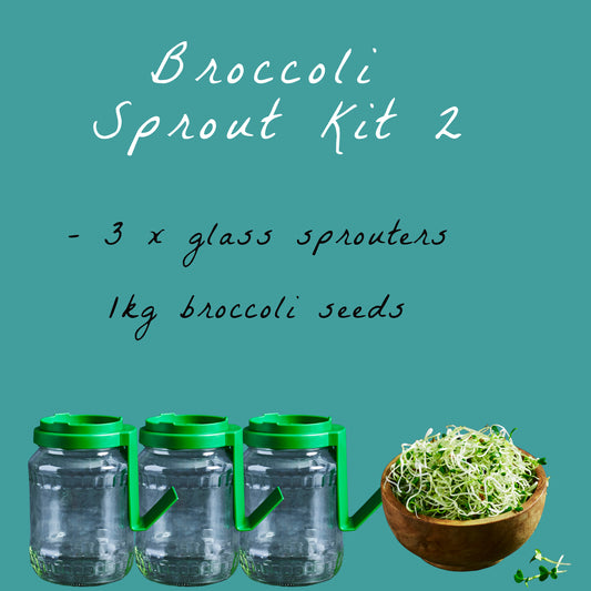 Broccoli Sprout House Kit 2