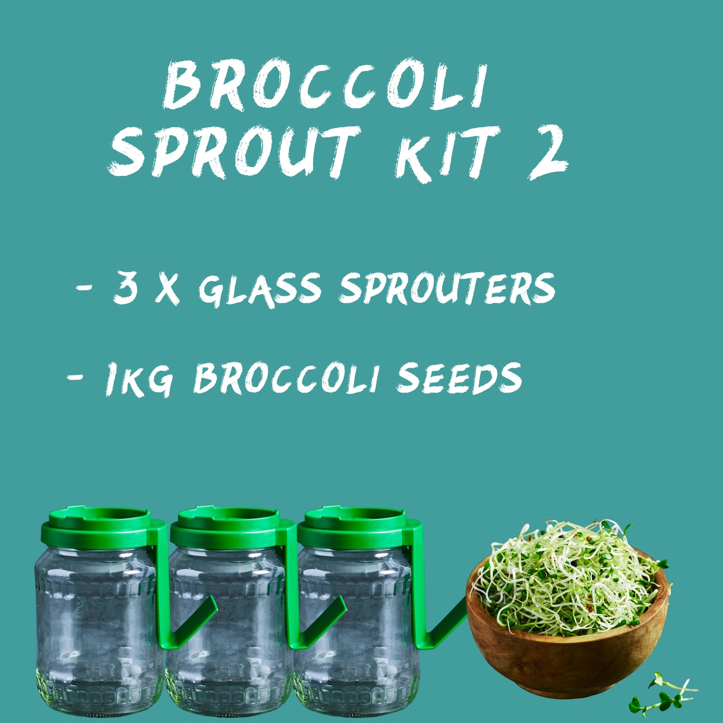 Broccoli Sprout House Kit 2