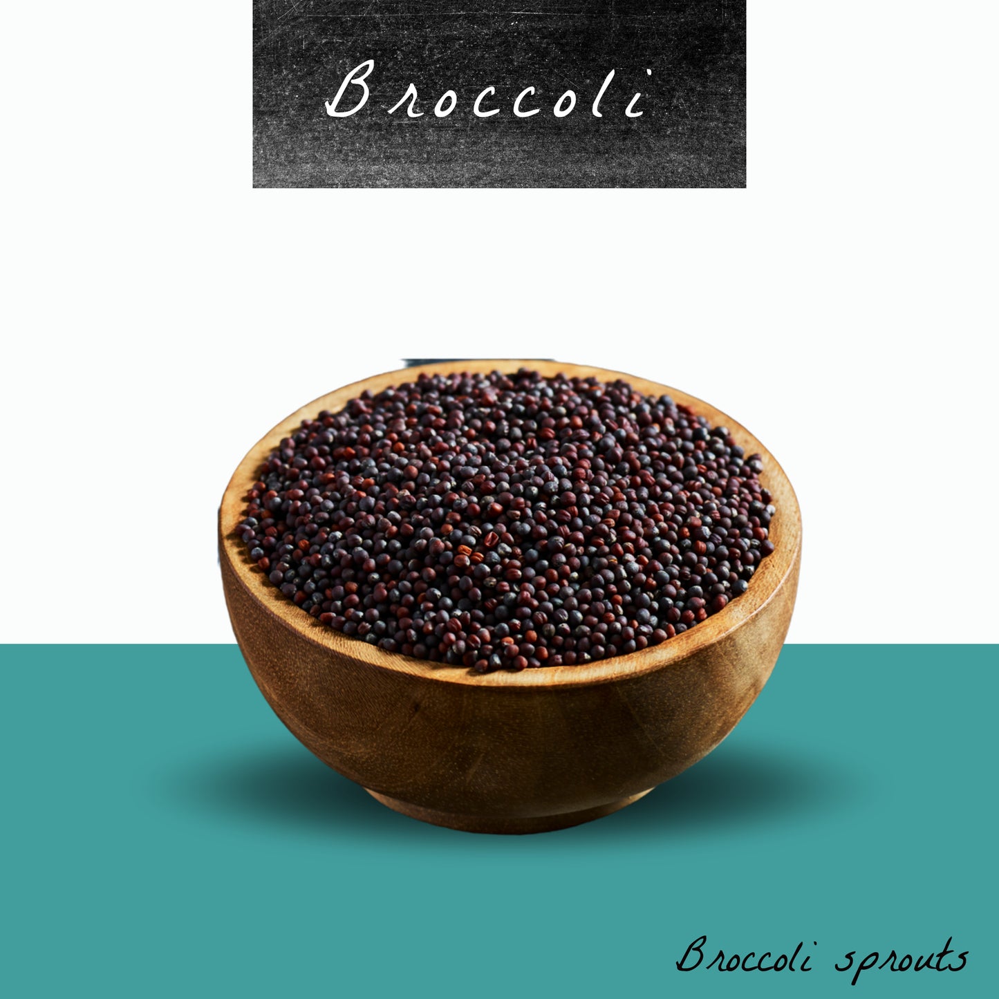 Broccoli Sprout Seeds