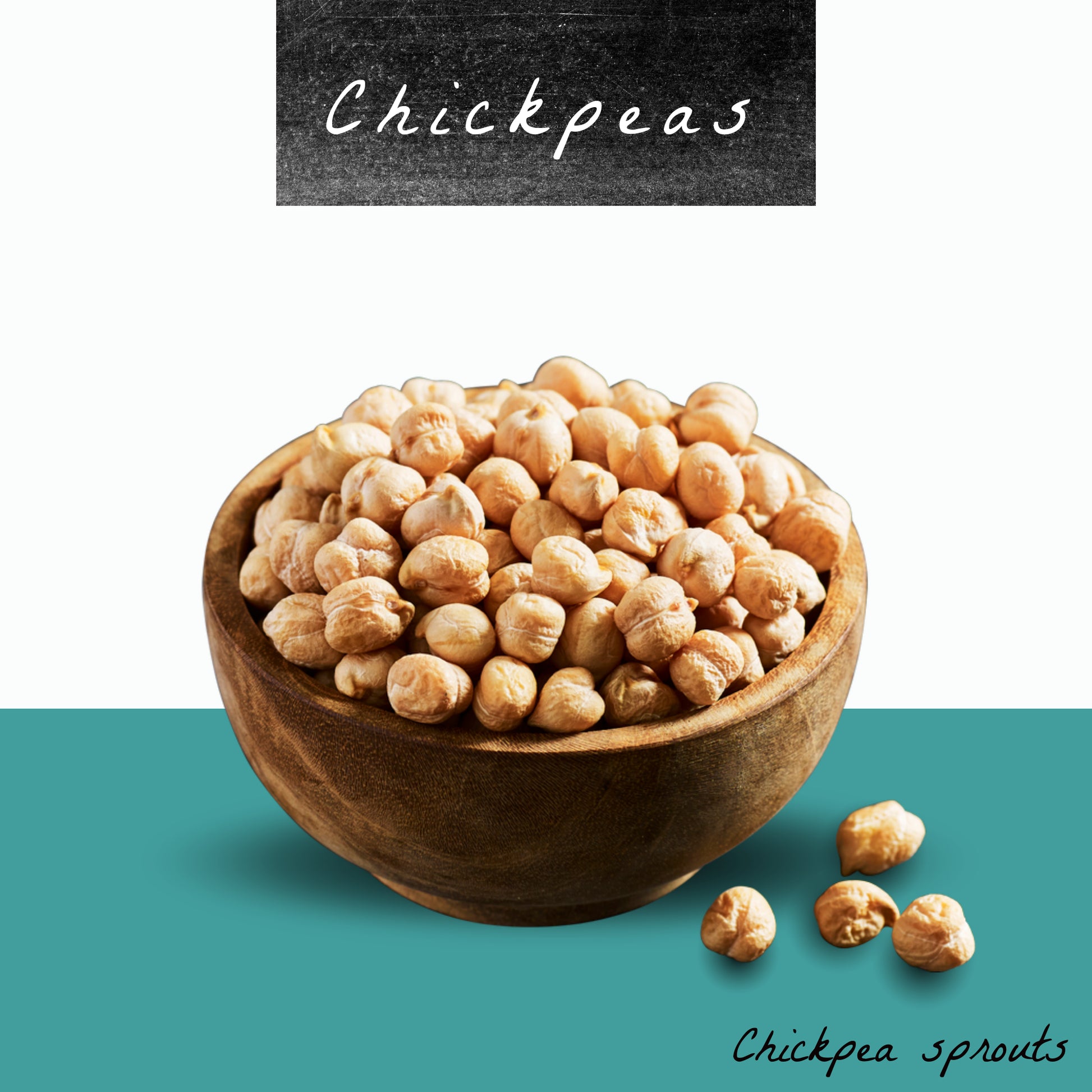 Chickpea Seeds