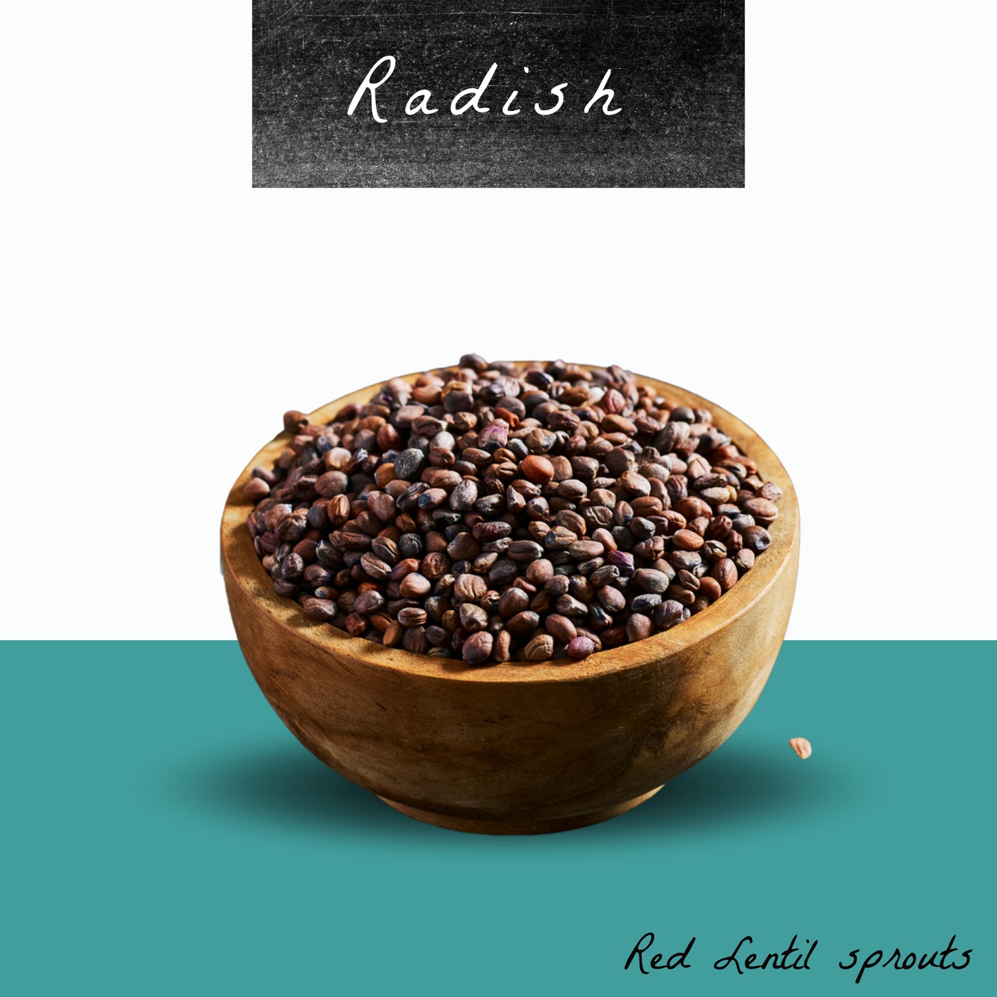 Red Radish Sprouts Seeds