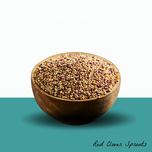 Red Clover Sprout Seeds