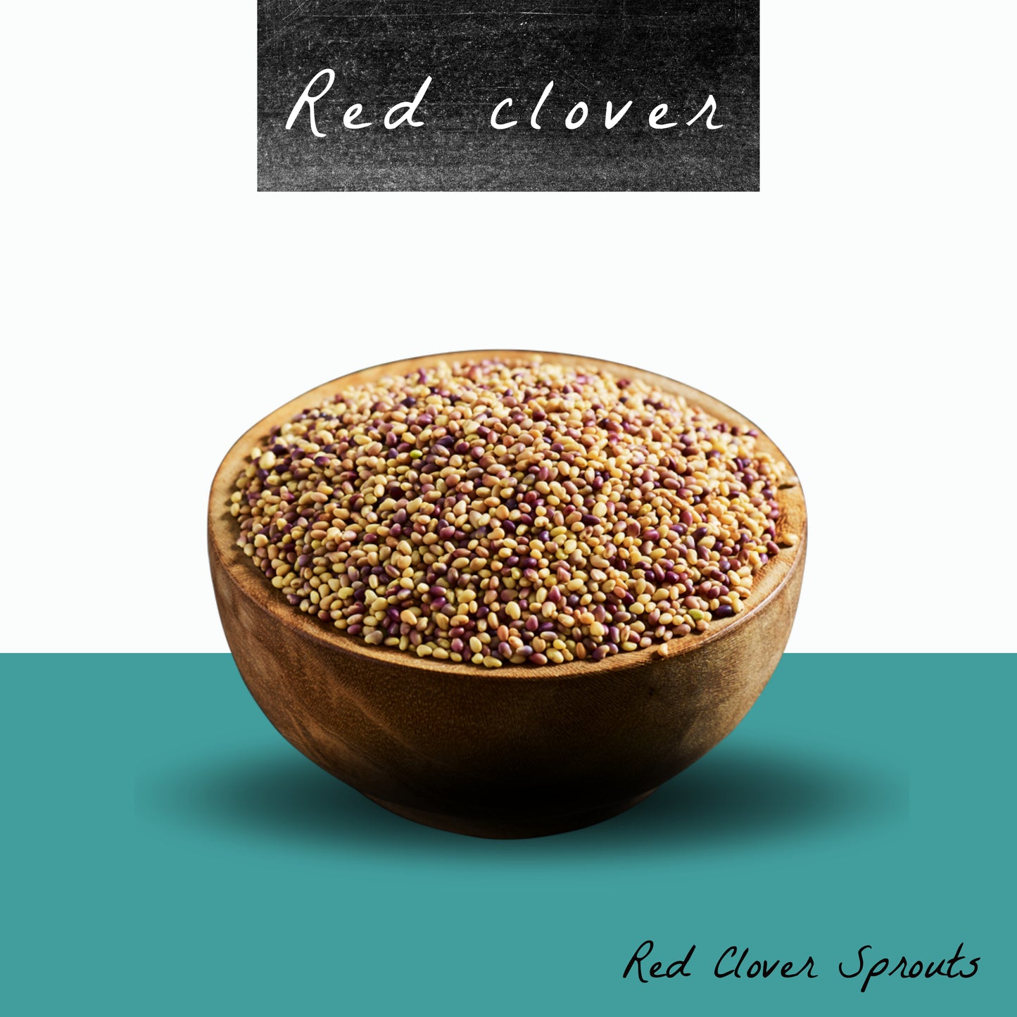 Red Clover Sprout Seeds